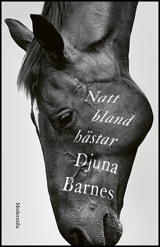Barnes, Djuna | Natt bland hästar