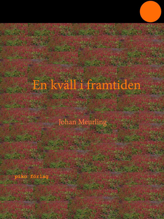 Meurling, Johan | En kväll i framtiden