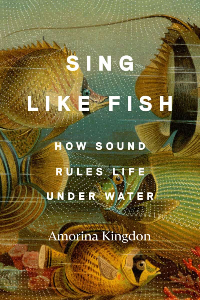 Kingdon, Amorina | Sing Like Fish : How Sound Rules Life Under Water