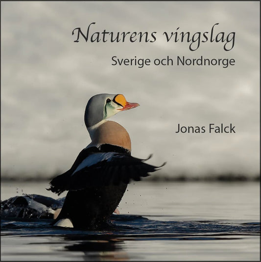 Falck, Jonas | Naturens vingslag – Sverige och Nordnorge