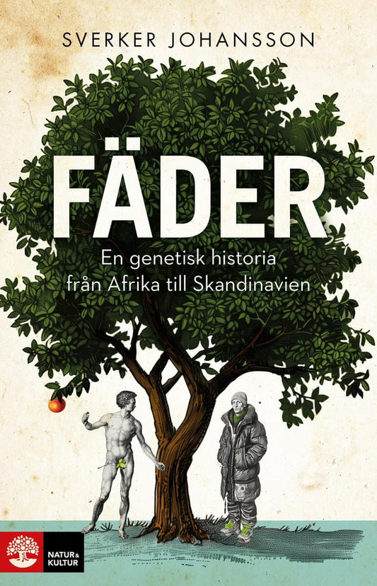 Johansson, Sverker | Fäder : En genetisk historia från Afrika till Skandinavien