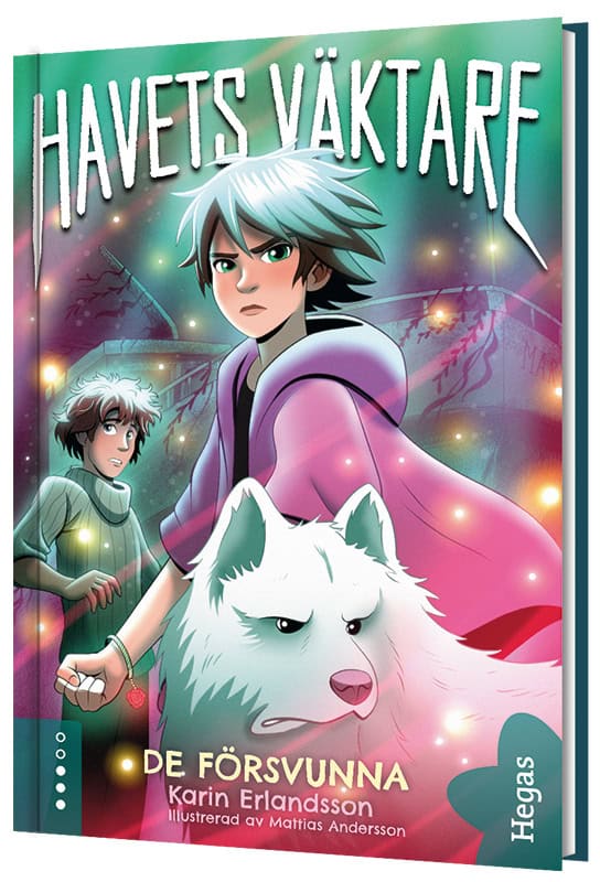 Erlandsson, Karin | De försvunna