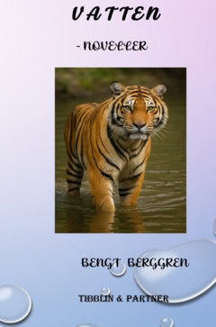 Berggren, Bengt | Vatten : En novellsamling