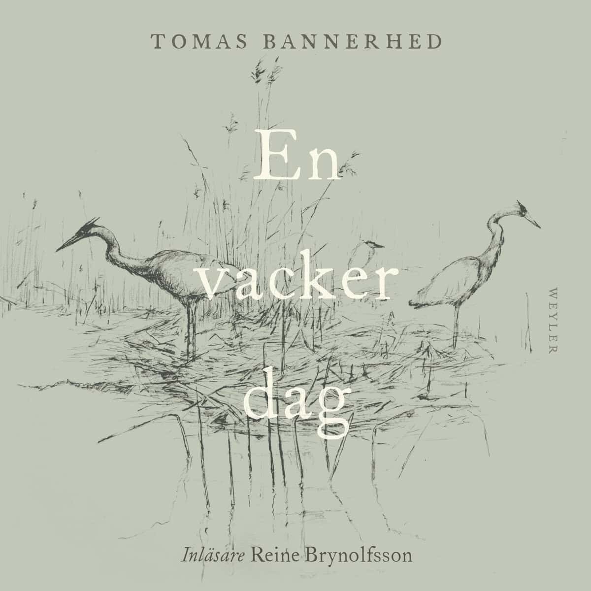 Bannerhed, Tomas | En vacker dag : Value, object or array expected.* Line 1, Column 2  Extra non-whitespace after JSON v...