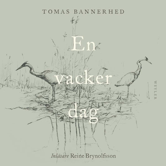 Bannerhed, Tomas | En vacker dag : Value, object or array expected.* Line 1, Column 2  Extra non-whitespace after JSON v...