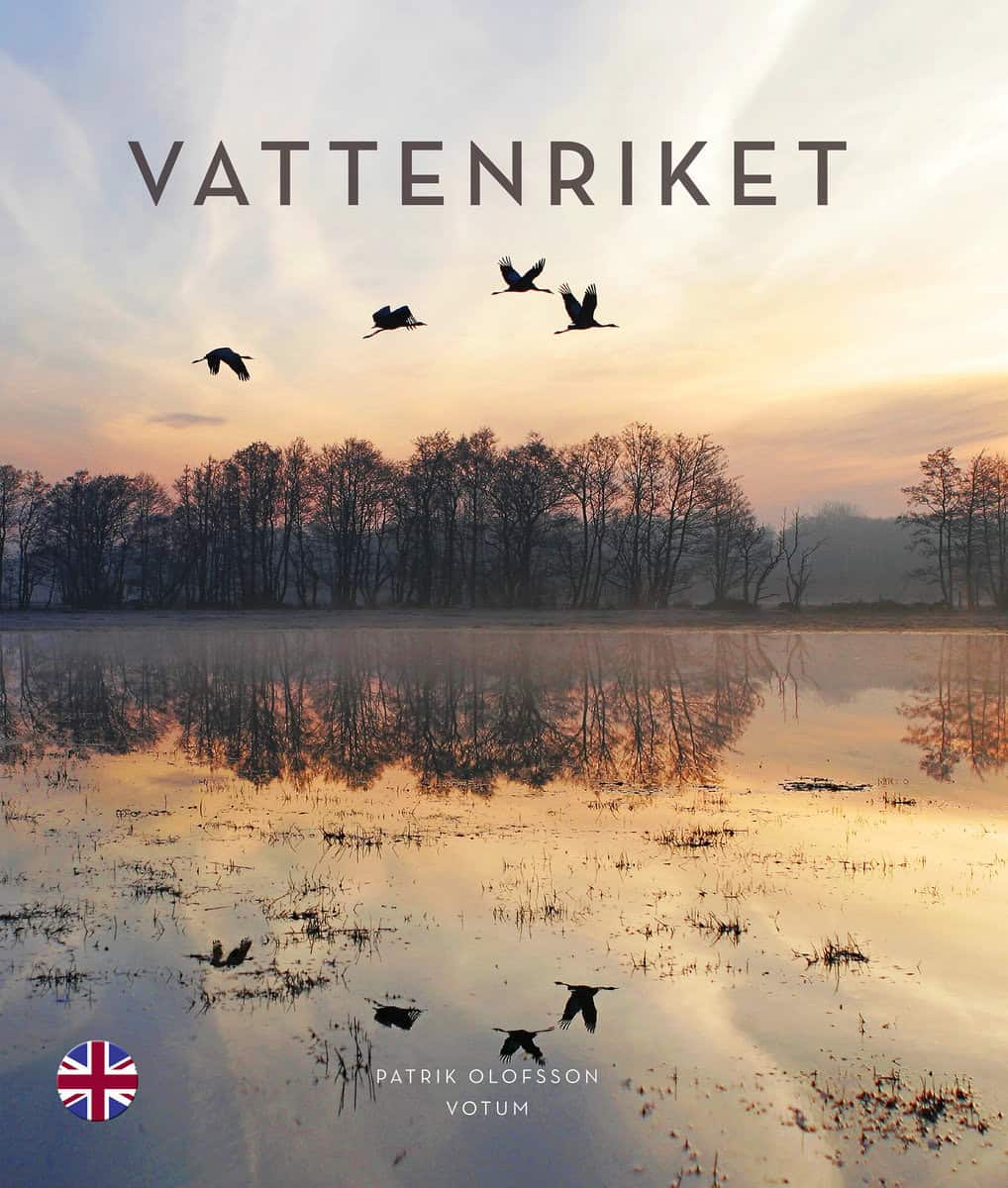 Olofsson, Patrik | Vattenriket (English/engelska)
