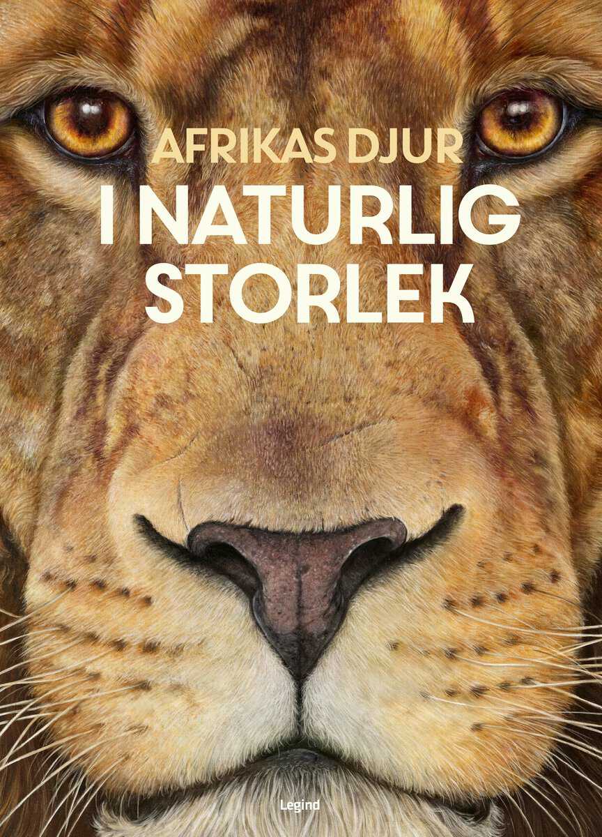 Haag, Holger | Afrikas djur : I naturlig storlek