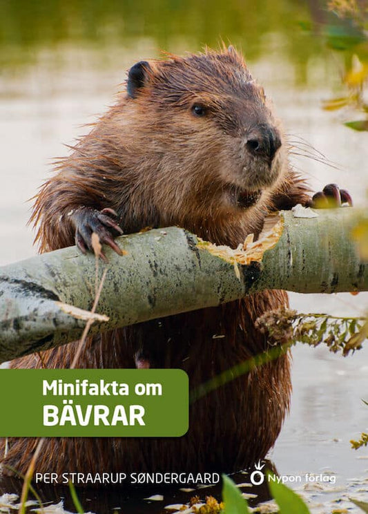Straarup Søndergaard, Per | Minifakta om bävrar