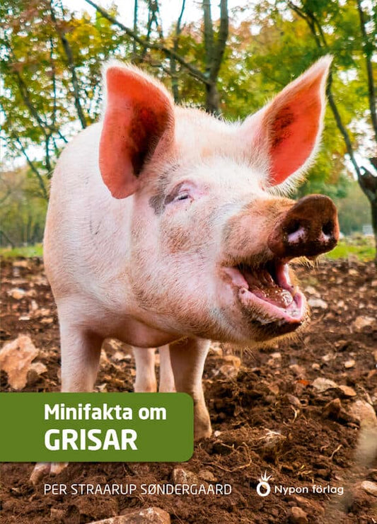Straarup Søndergaard, Per | Minifakta om grisar