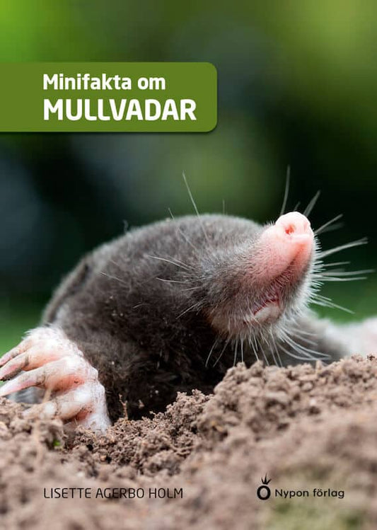 Aagerbo Holm, Lisette | Minifakta om mullvadar