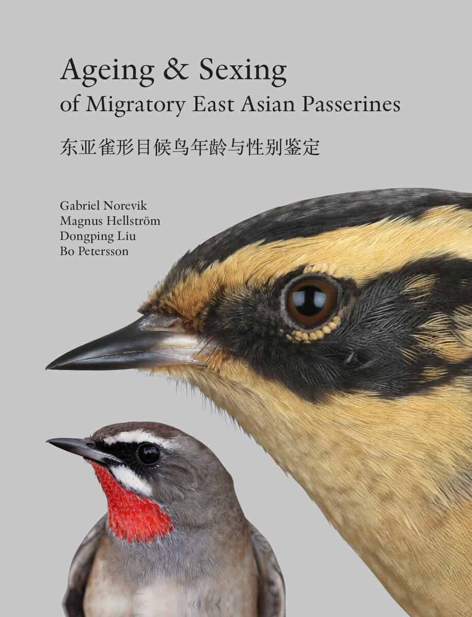 Norevik, Gabriel | Hellström, Magnus | Liu, Dongping | Petersson, Bo | Ageing & sexing of migratory East Asian passerines