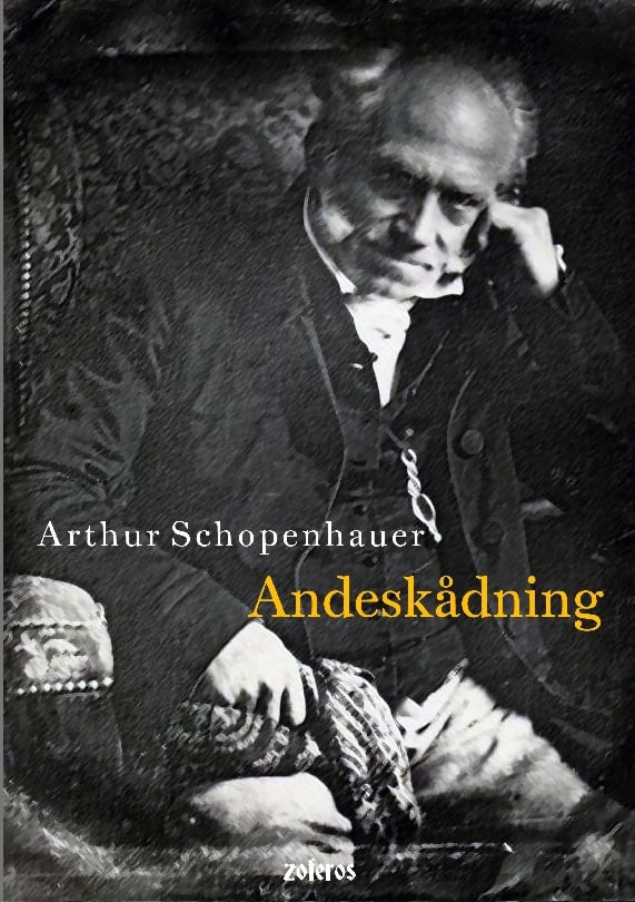 Schopenhauer, Arthur | Andeskådning