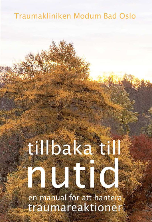 Moe, Anita | Rygh, Jörgen | Klouman, Marianne | Holbaek, Ingunn [red.] | Tillbaka till nutid