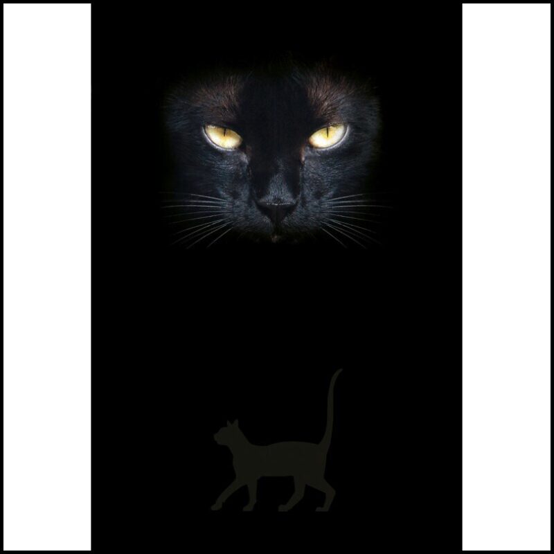Scarabeo, Lo | Cat's Eyes