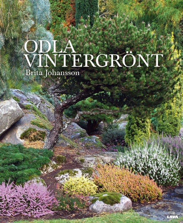 Johansson, Brita | Odla vintergrönt