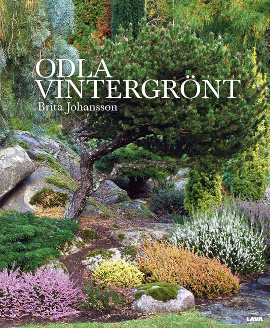 Johansson, Brita | Odla vintergrönt