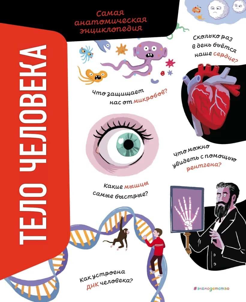 Romano, Anna | Now I Know – The Human Body (Ryska)