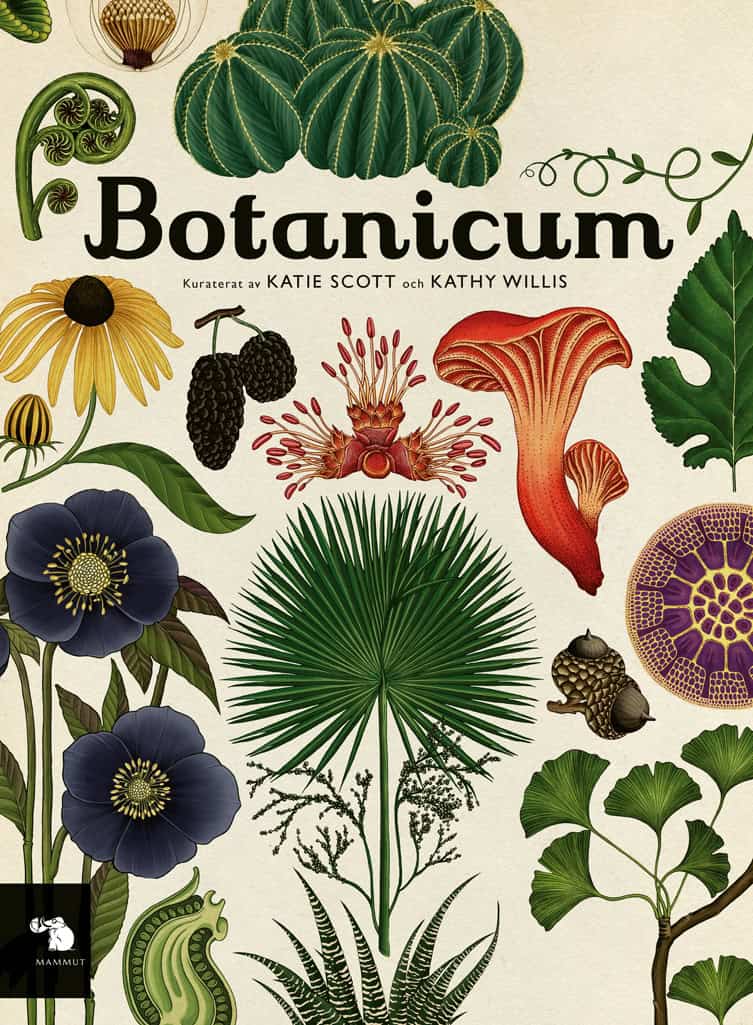 Willis, Kathy | Botanicum