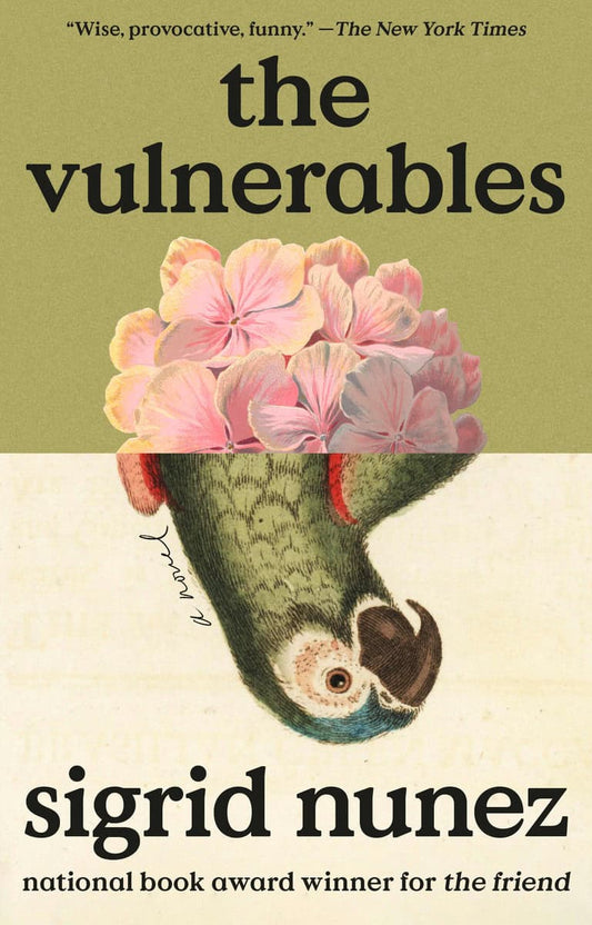 Nunez, Sigrid | The Vulnerables : A Novel