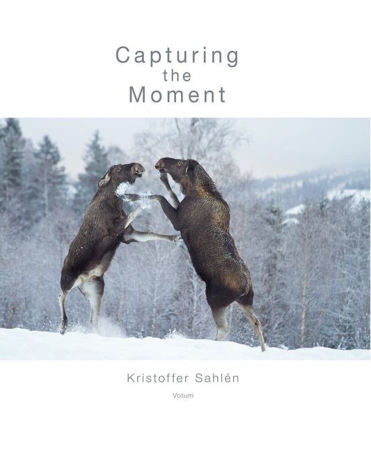 Sahlén, Kristoffer | Capturing the Moment