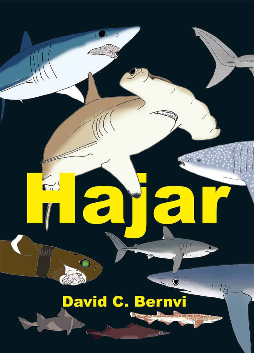 Bernvi, David C. | Hajar : En spännande faktabok