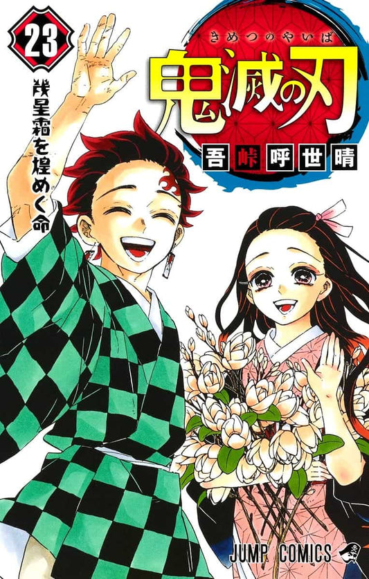 Gotōge, Koyoharu | Demon Slayer : Kimetsu no Yaiba 23 (Japanska)
