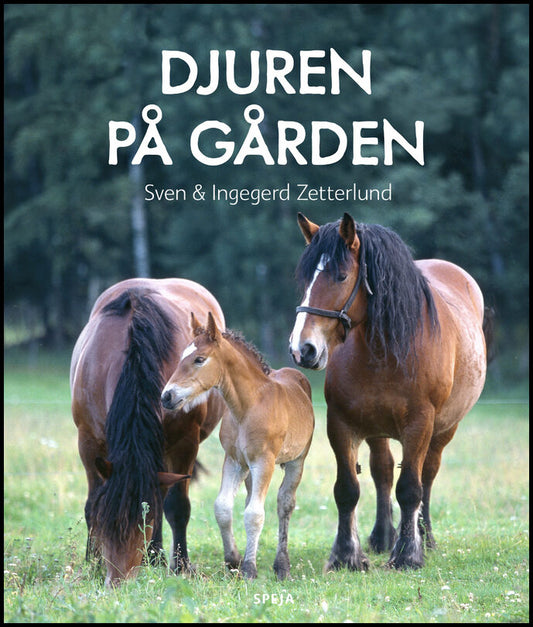 Zetterlund, Sven | Zetterlund, Ingegerd | Djuren på gården