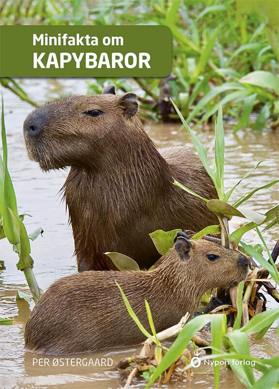 Østergaard, Per | Minifakta om kapybaror
