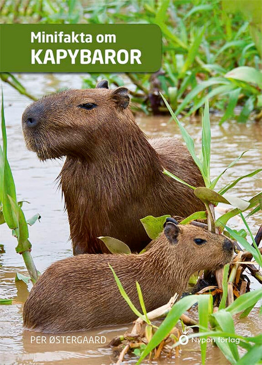 Østergaard, Per | Minifakta om kapybaror