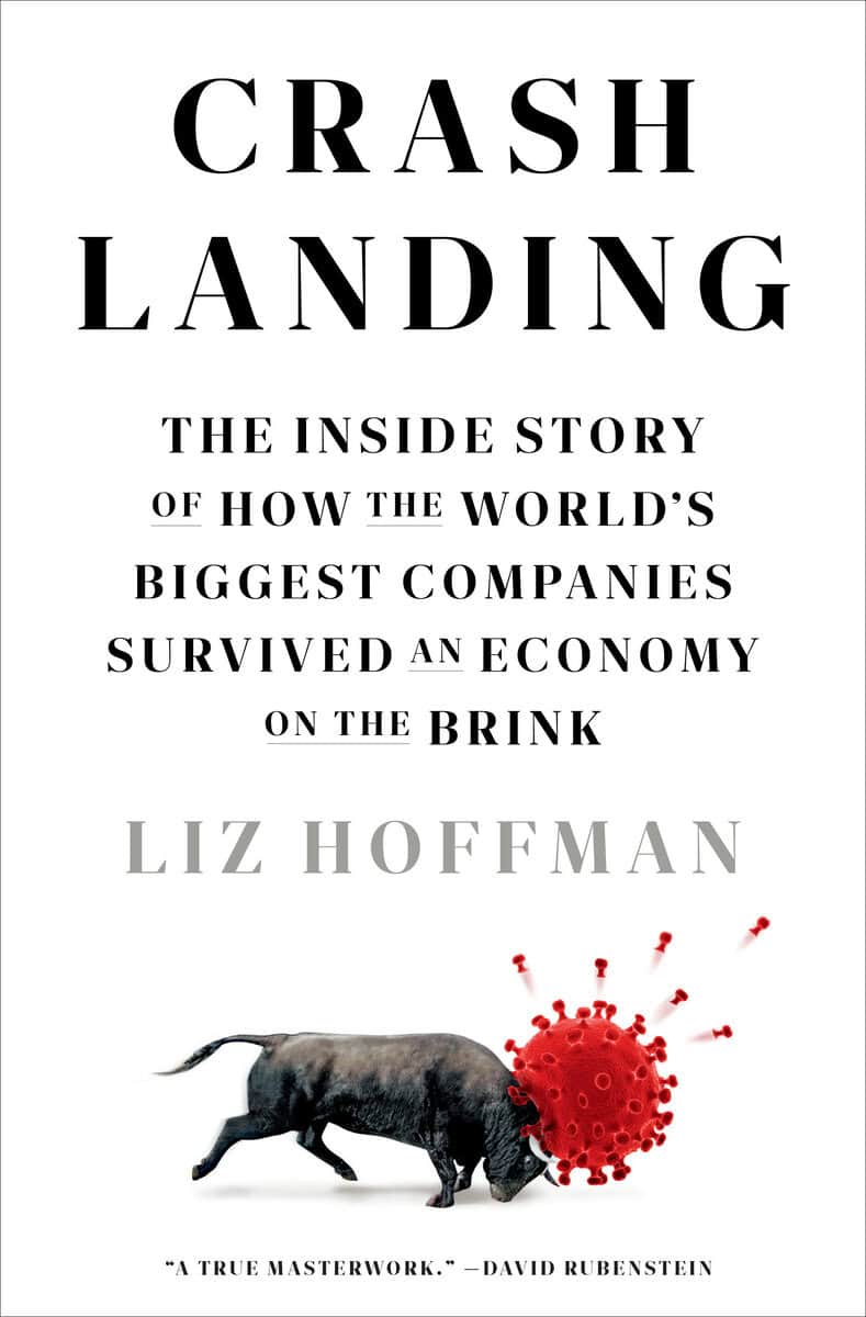 Hoffman, Liz | Crash Landing