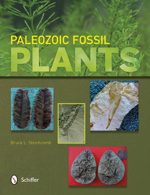 Bruce L. Stinchcomb | Paleozoic Fossil Plants