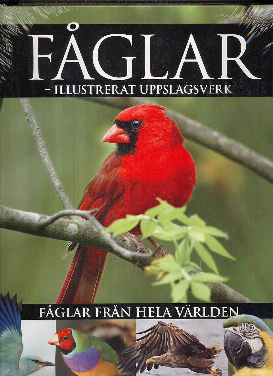 Frances, Peter [red.] | Fåglar : Illustrerat uppslagsverk