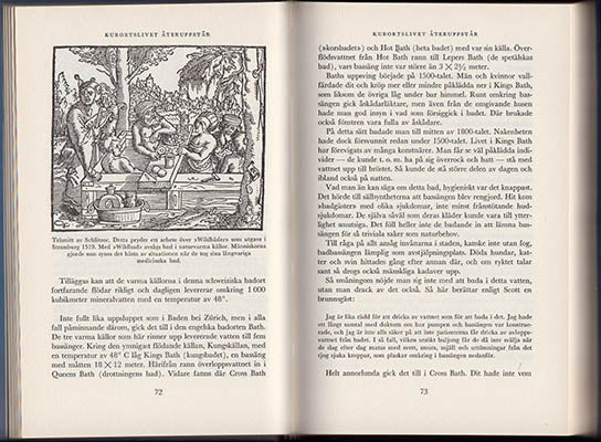 Bergmark, Matts | Bad och bot : Badet, vattenläkekonsten och kurorterna genom tiderna