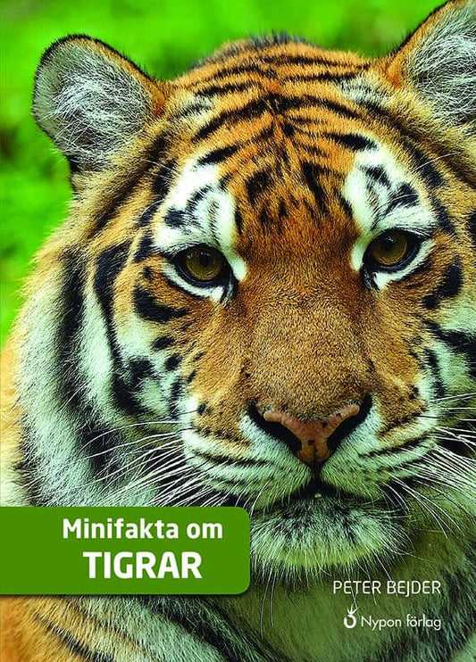 Bejder, Peter | Minifakta om tigrar