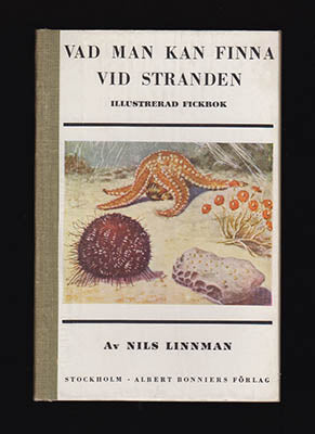Linnman, Nils | Vad man kan finna vid stranden