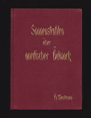 Westeson, Hjalmar | Sonnenstrahlen über nordischer Ödmark