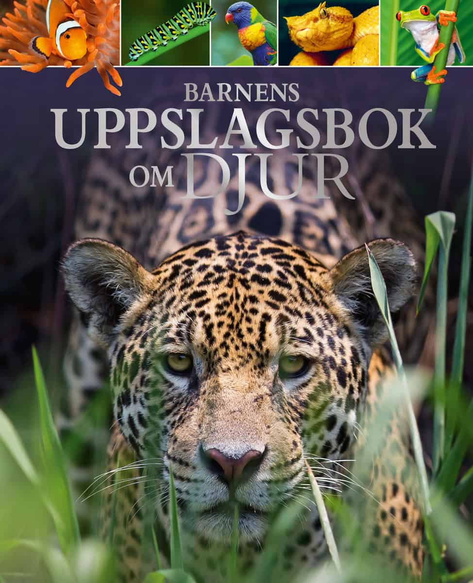 Leach, Michael | Land, Meriel | Barnens uppslagsbok om djur