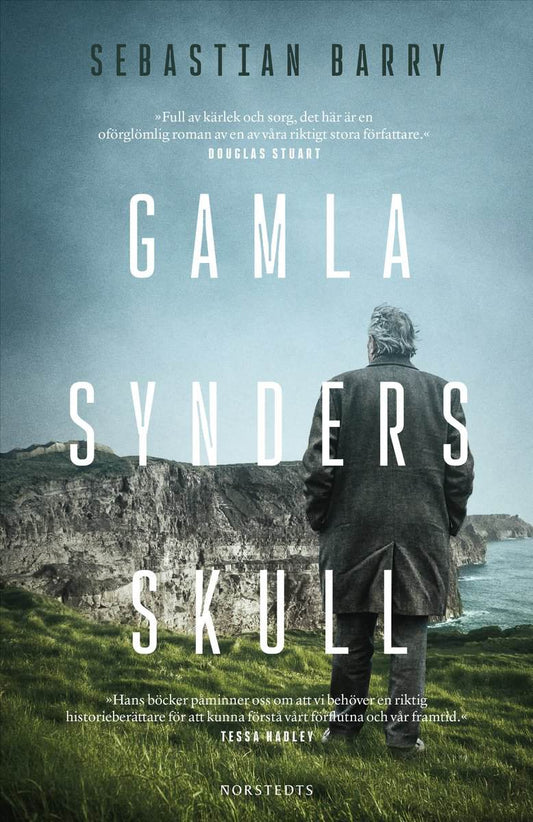 Barry, Sebastian | Gamla synders skull