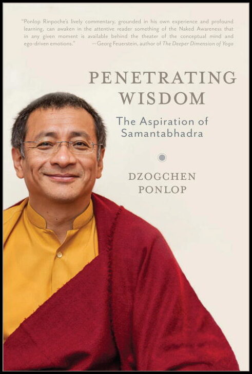 Dzogchen Ponlop | Penetrating wisdom