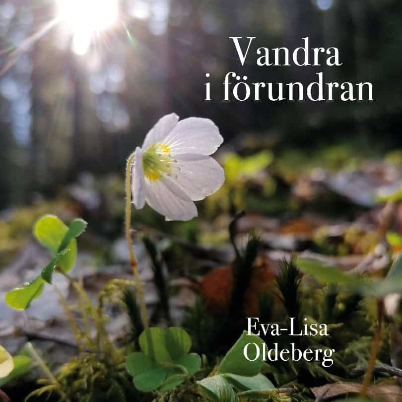 Oldeberg, Eva-Lisa | Vandra i förundran : Om och med naturmeditationer.