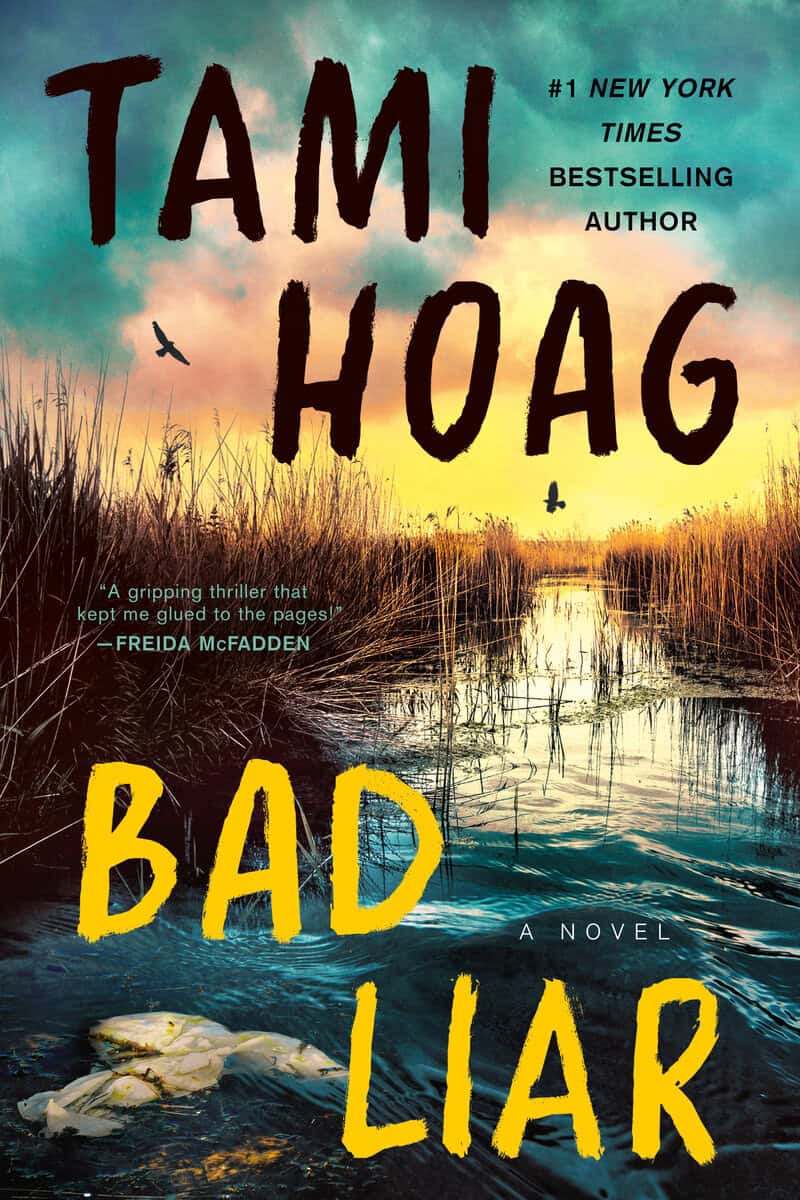 Hoag, Tami | Bad Liar : A Novel