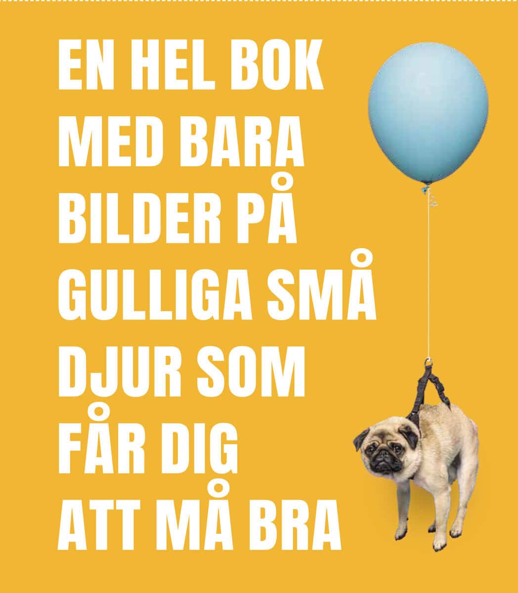 En hel bok med bara bilder på gulliga små djur som får dig a