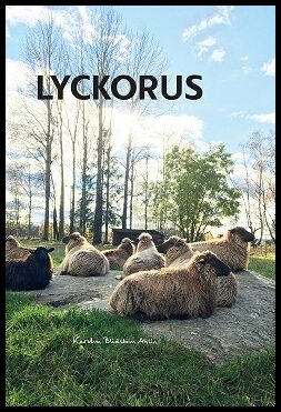 Blidstam Ahlin, Kerstin | Lyckorus
