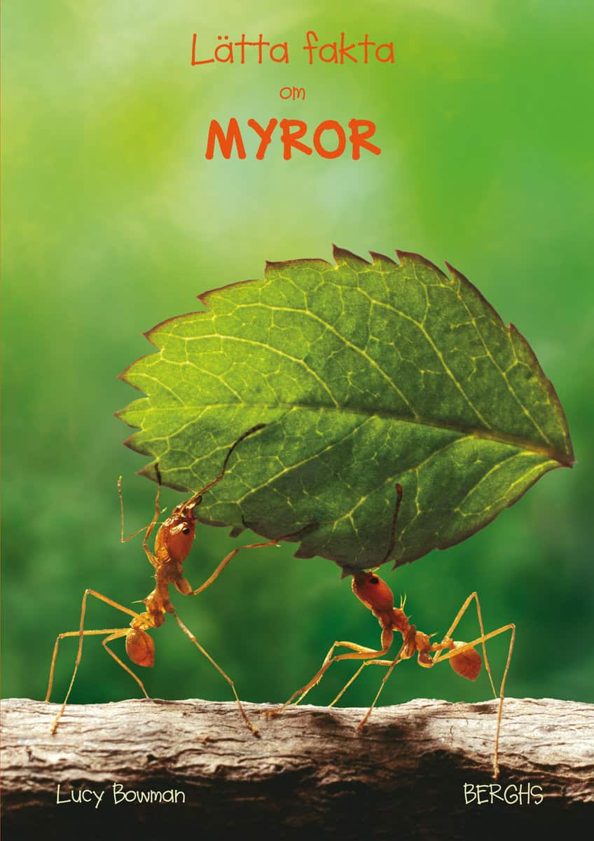 Bowman, Lucy | Lätta fakta om myror