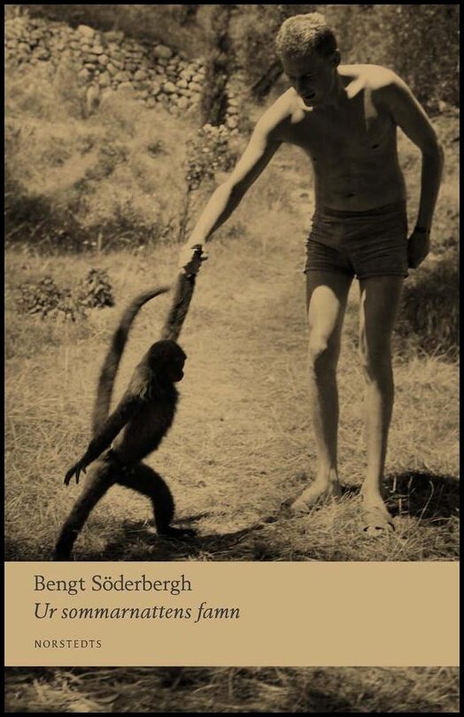 Söderbergh, Bengt | Ur sommarnattens famn