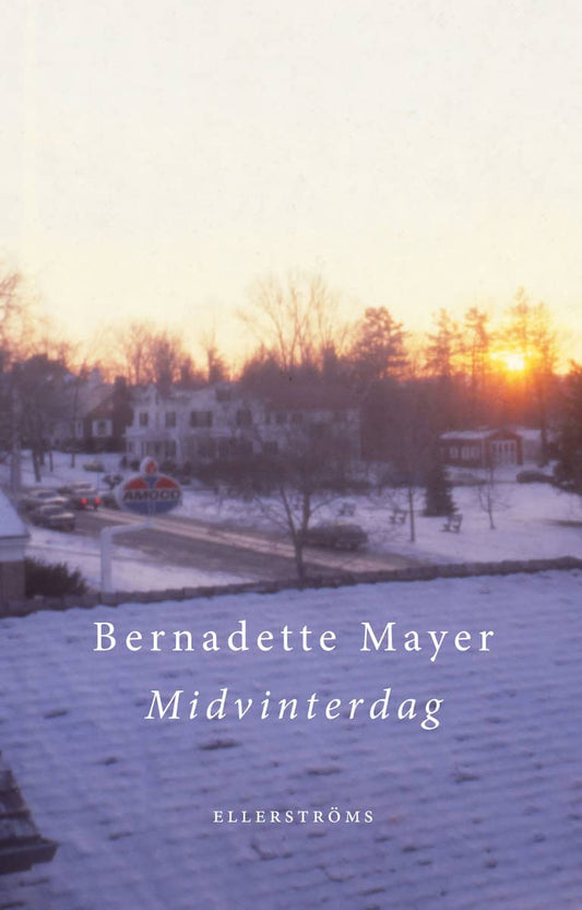 Mayer, Bernadette | Midvinterdag