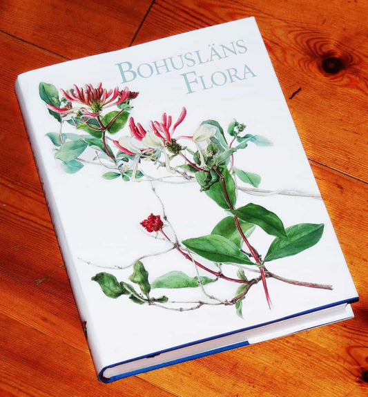 Eva Falk, Evastina Blomgren | Bohusläns flora