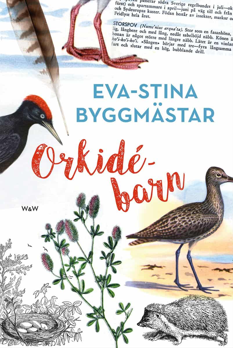 Byggmästar, Eva-Stina | Orkidébarn