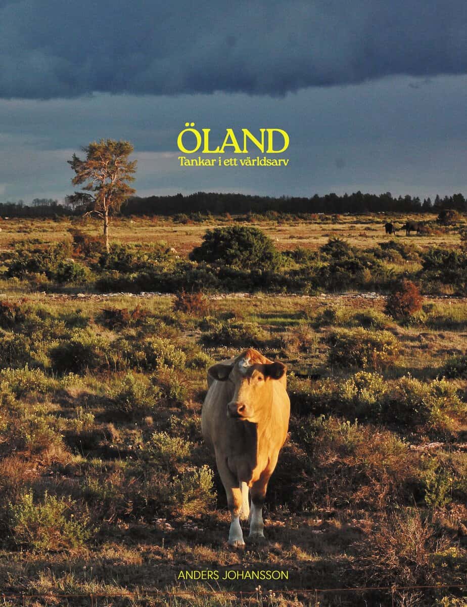 Johansson, Anders | Öland, tankar i ett världsarv