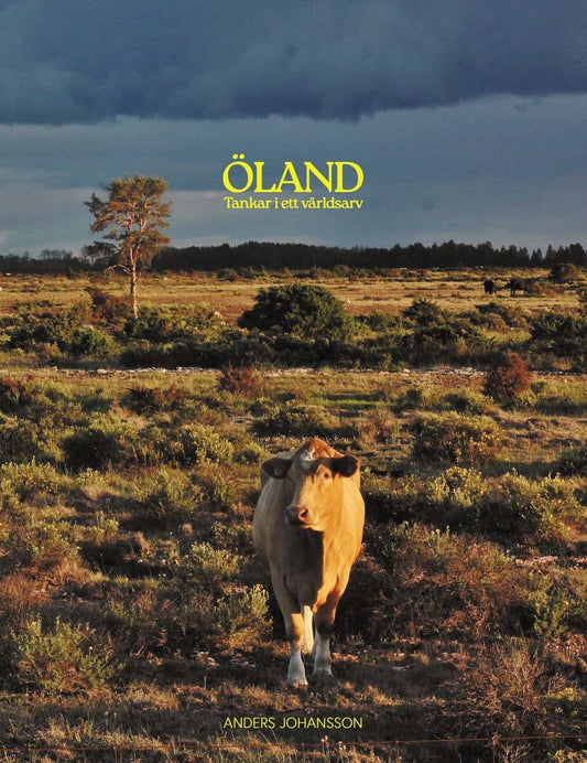 Johansson, Anders | Öland, tankar i ett världsarv